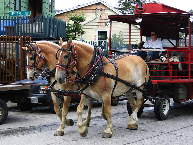 Horse example