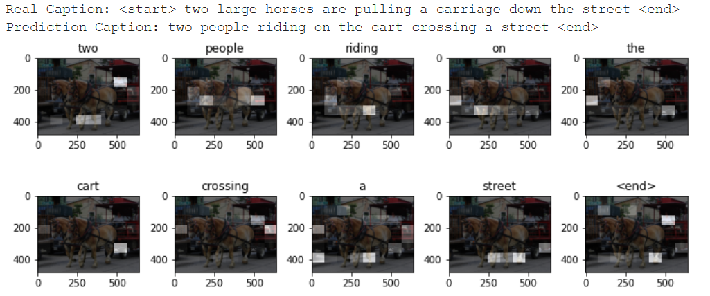 Horse attention plot